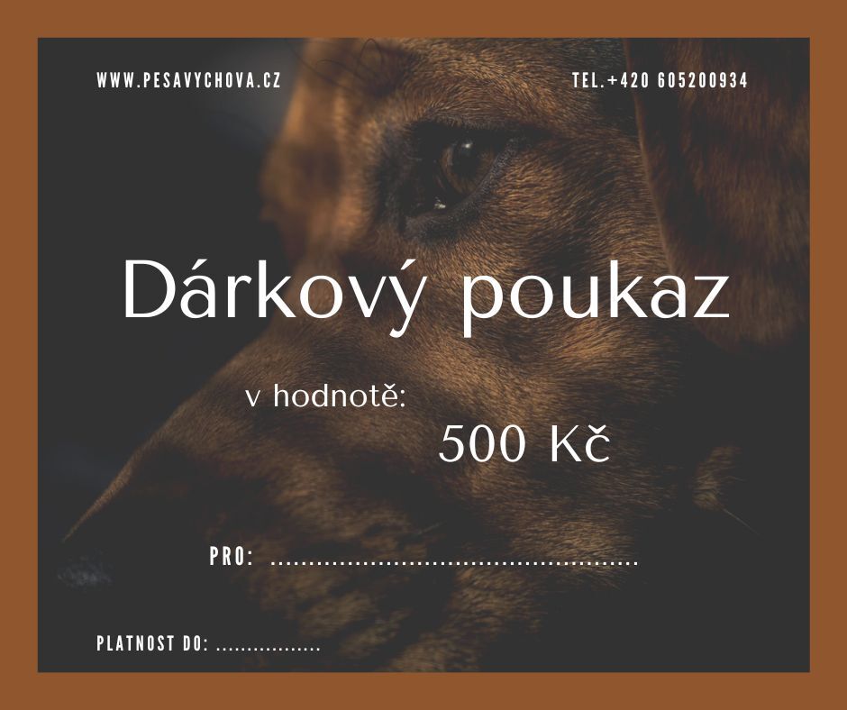 Darkovy poukaz 500.jpg